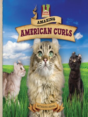 cover image of Amazing American Curls